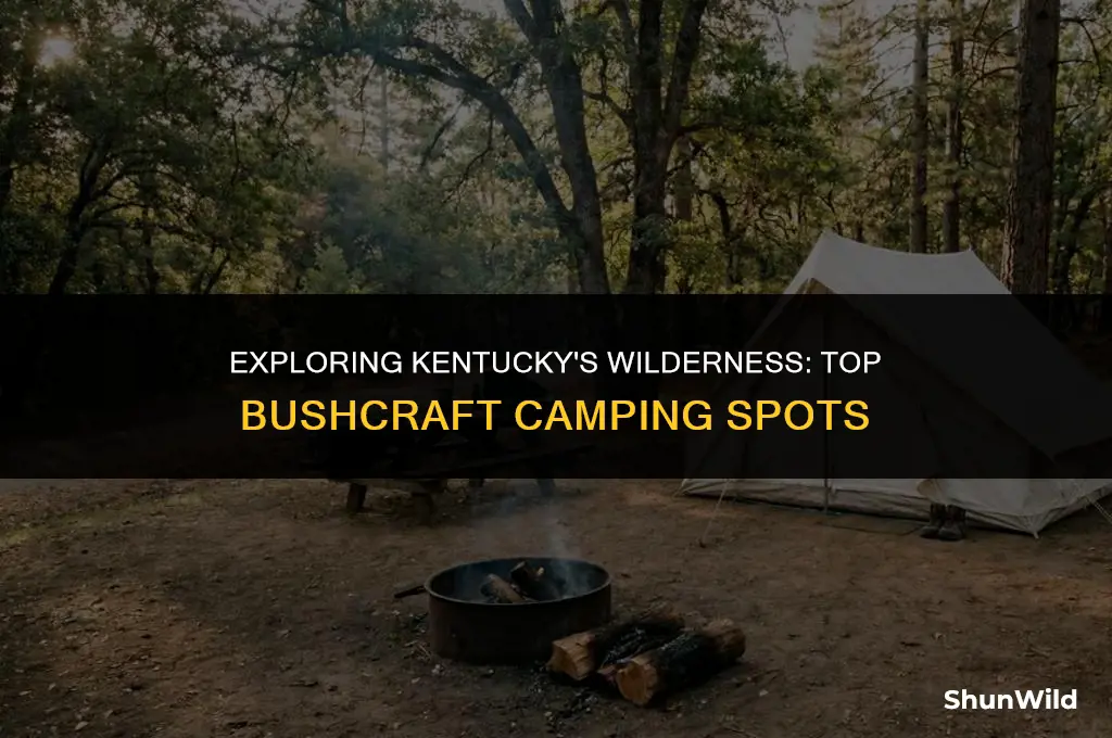 where to bushcraft camp kentucky