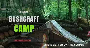 Exploring the Wilderness: Top Spots for Bushcraft Camping Adventures