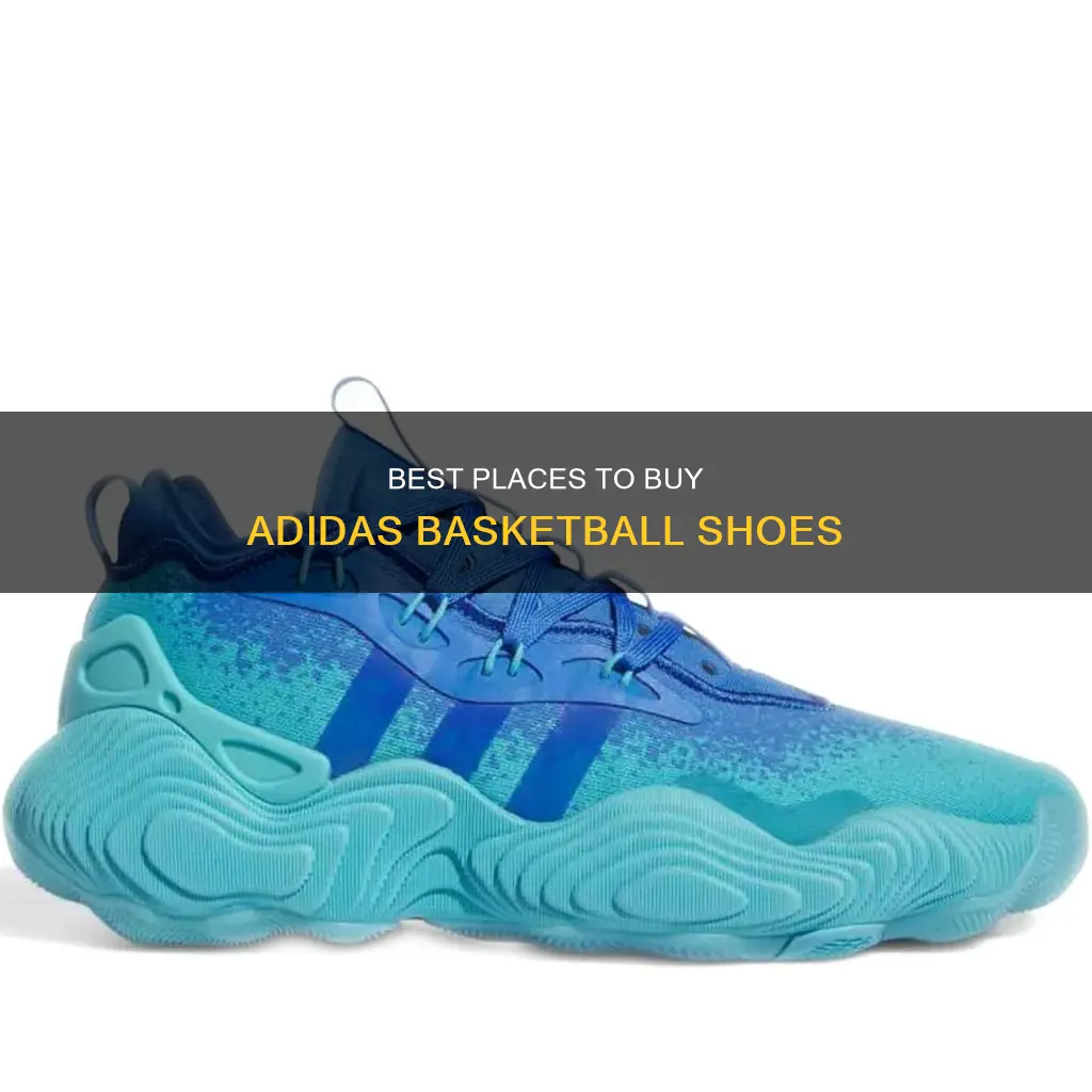 where to buy adidas basketball shoes