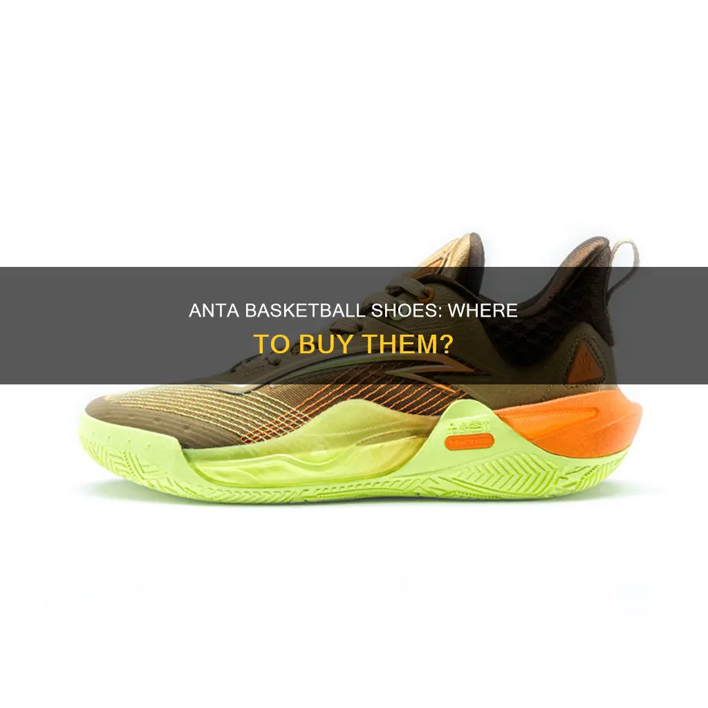 where to buy anta basketball shoes