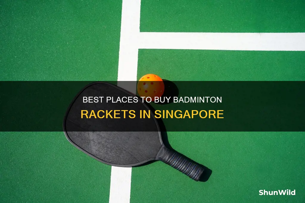 where to buy badminton rackets in singapore
