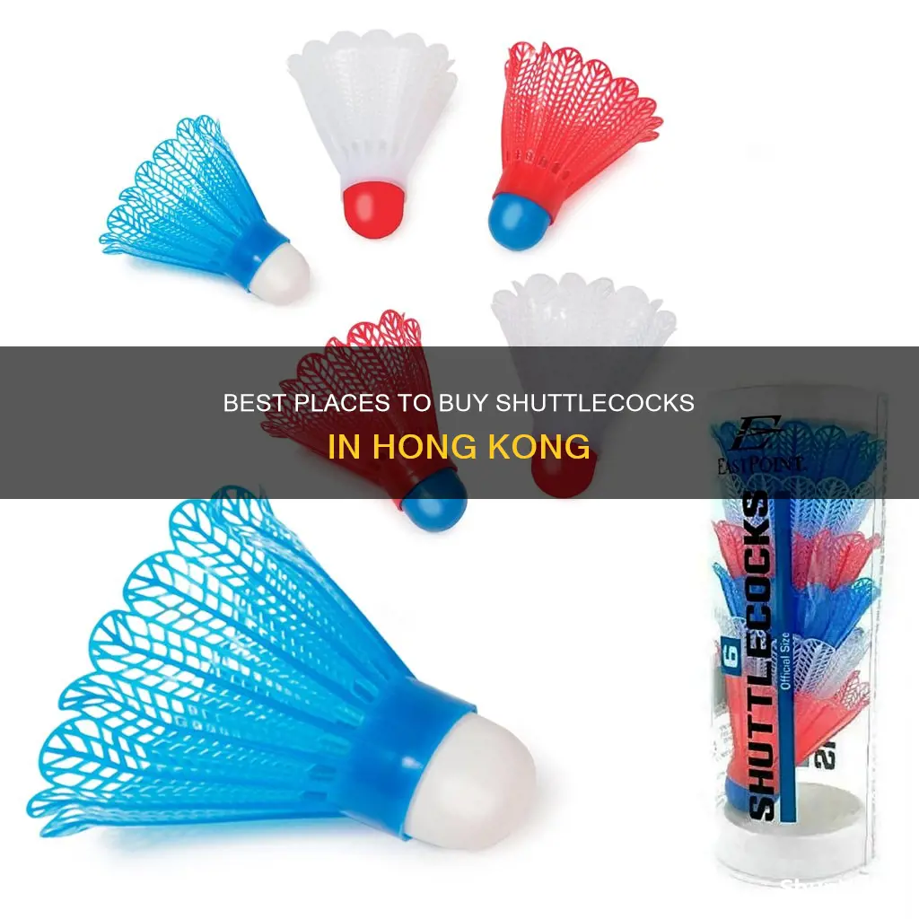 where to buy badminton shuttlecock in hong kong