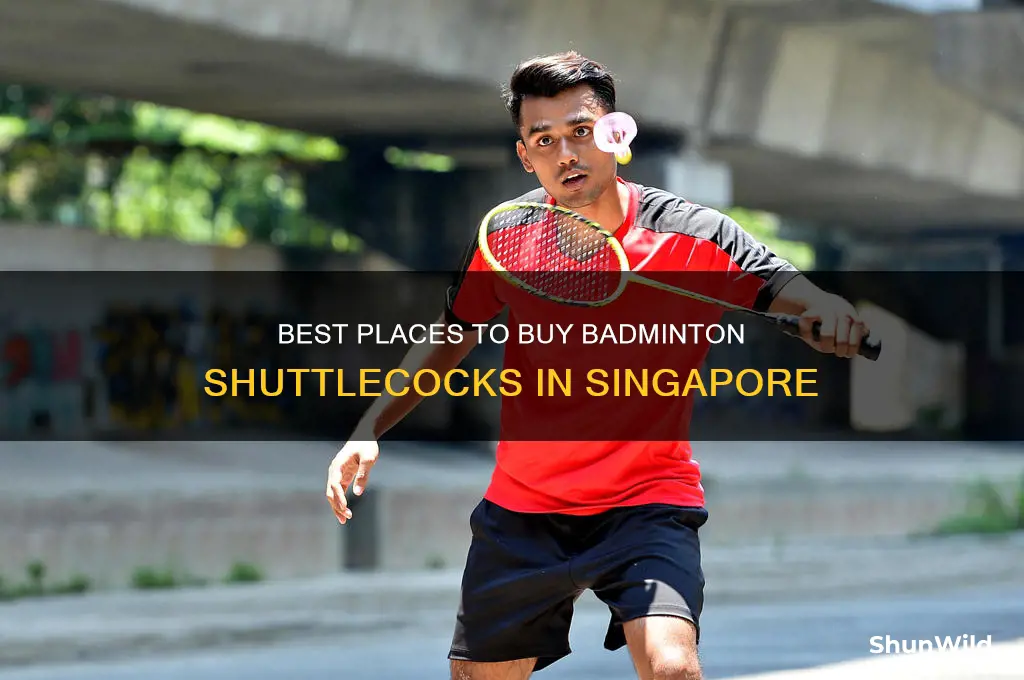 where to buy badminton shuttlecock in singapore