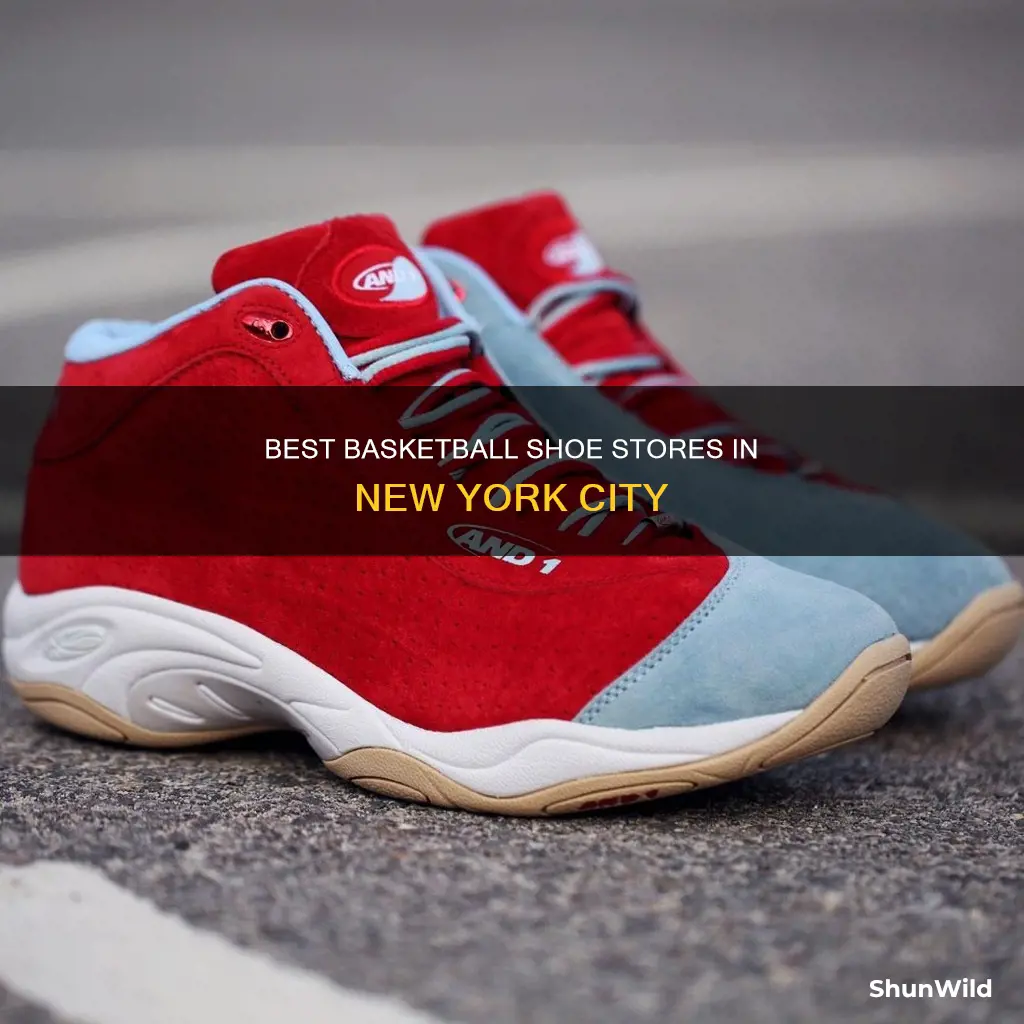 where to buy basketball shoes in new york