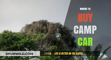 Discover Your Dream Camp Car: A Buyer's Guide to the Best Deals