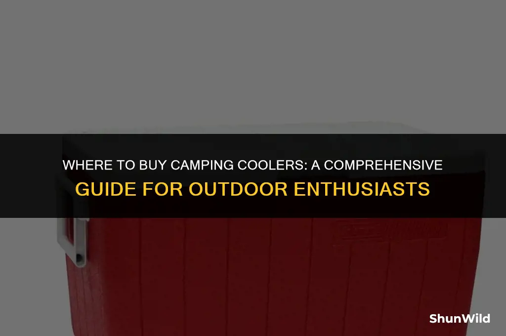 where to buy camping coolers