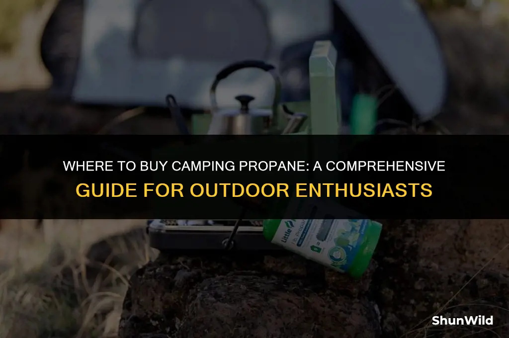 where to buy camping propane