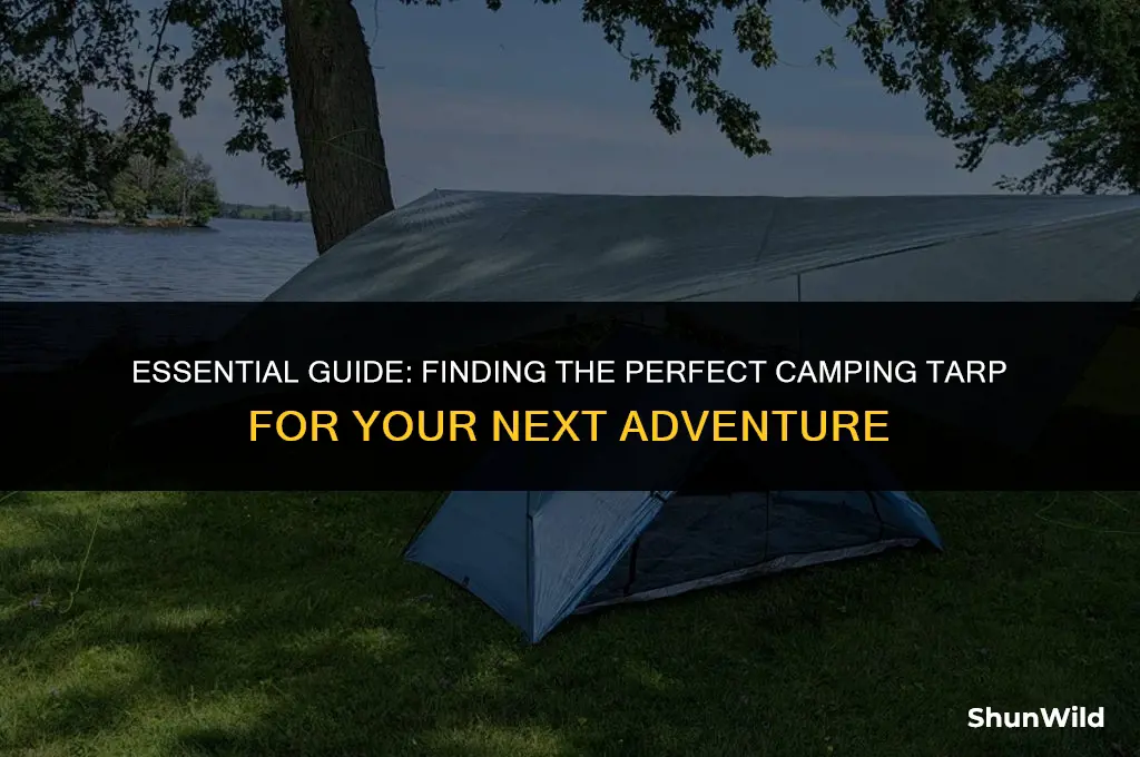 where to buy camping tarp