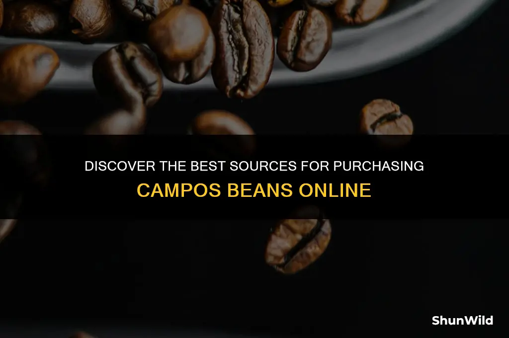 where to buy campos beans