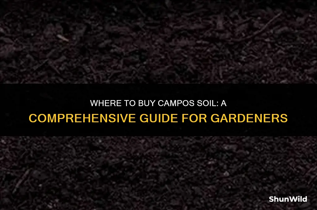 where to buy campos soil