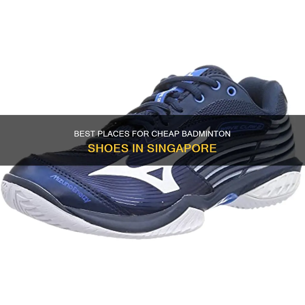 where to buy cheap badminton shoes in singapore