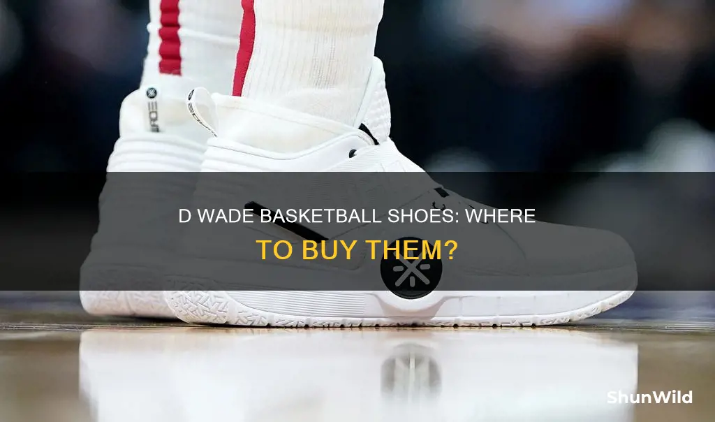 where to buy d wade basketball shoes