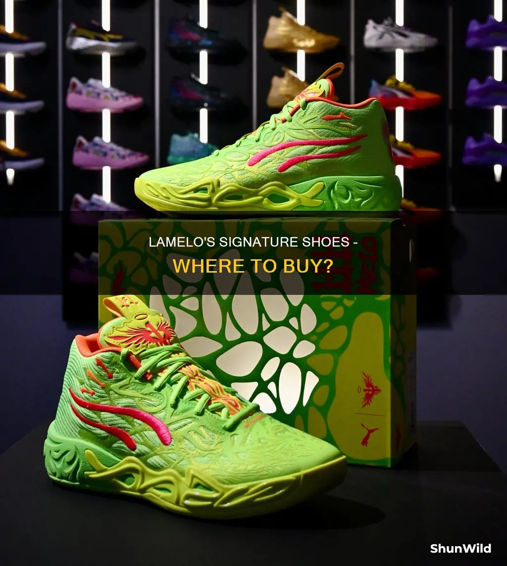 where to buy lamelo basketball shoes