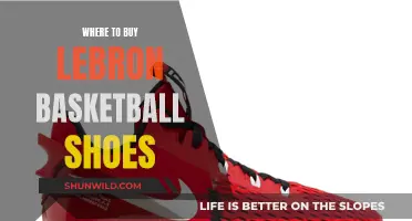 LeBron's Basketball Shoes: Where to Buy Them
