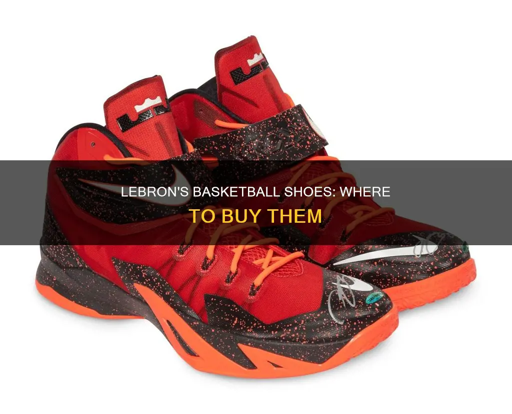 where to buy lebron basketball shoes