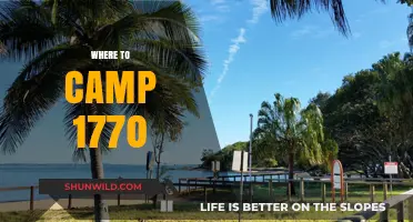 Discover the Best Camping Spots in 1770: A Guide to Nature's Retreats