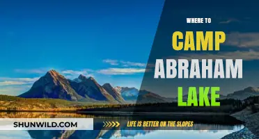 Discover the Best Campsites at Abraham Lake: A Guide