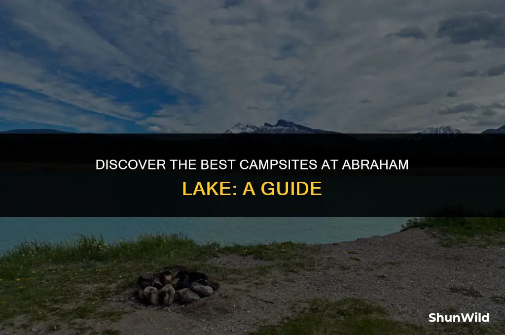 where to camp abraham lake