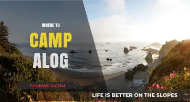 Exploring the Great Outdoors: Top Camping Spots Along the Coast