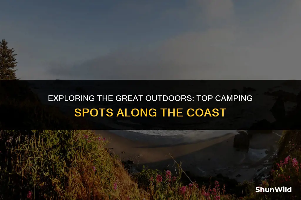 where to camp alog