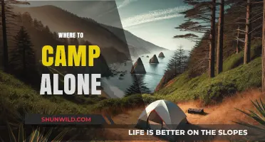 Solo Camping Bliss: Discovering Serenity in Nature's Embrace