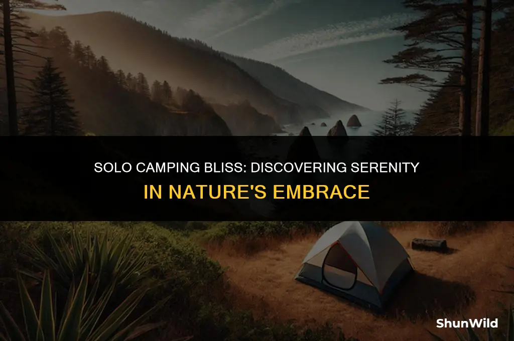 where to camp alone