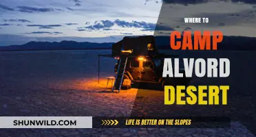 Exploring the Alvord Desert: Top Camping Spots and Essential Tips