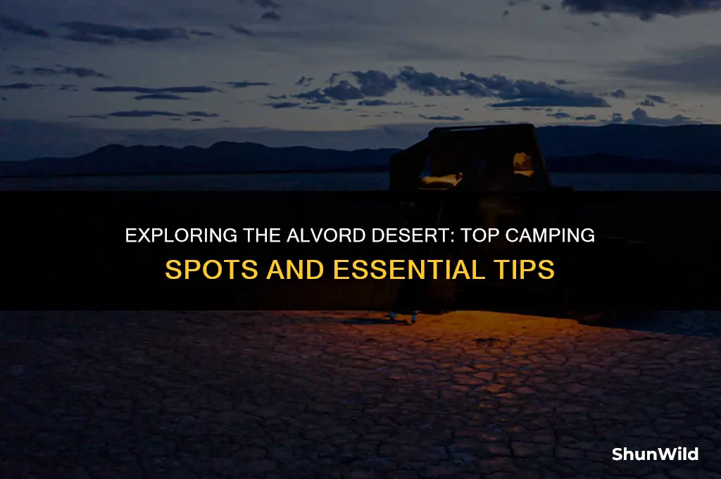 where to camp alvord desert