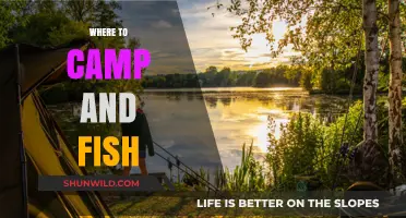 Discover the Best Spots to Camp and Fish: A Comprehensive Guide