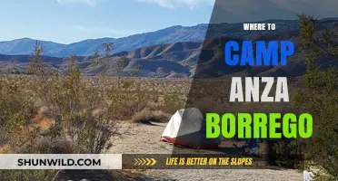 Exploring Anza-Borrego: Top Campsites for Your Next Adventure
