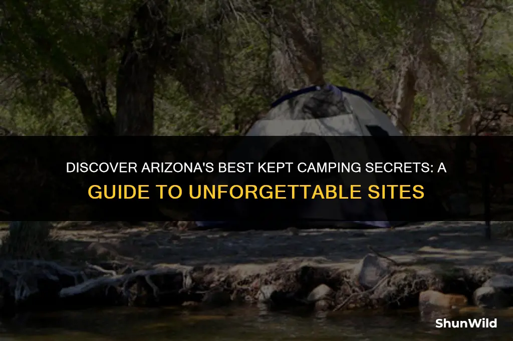where to camp arizona
