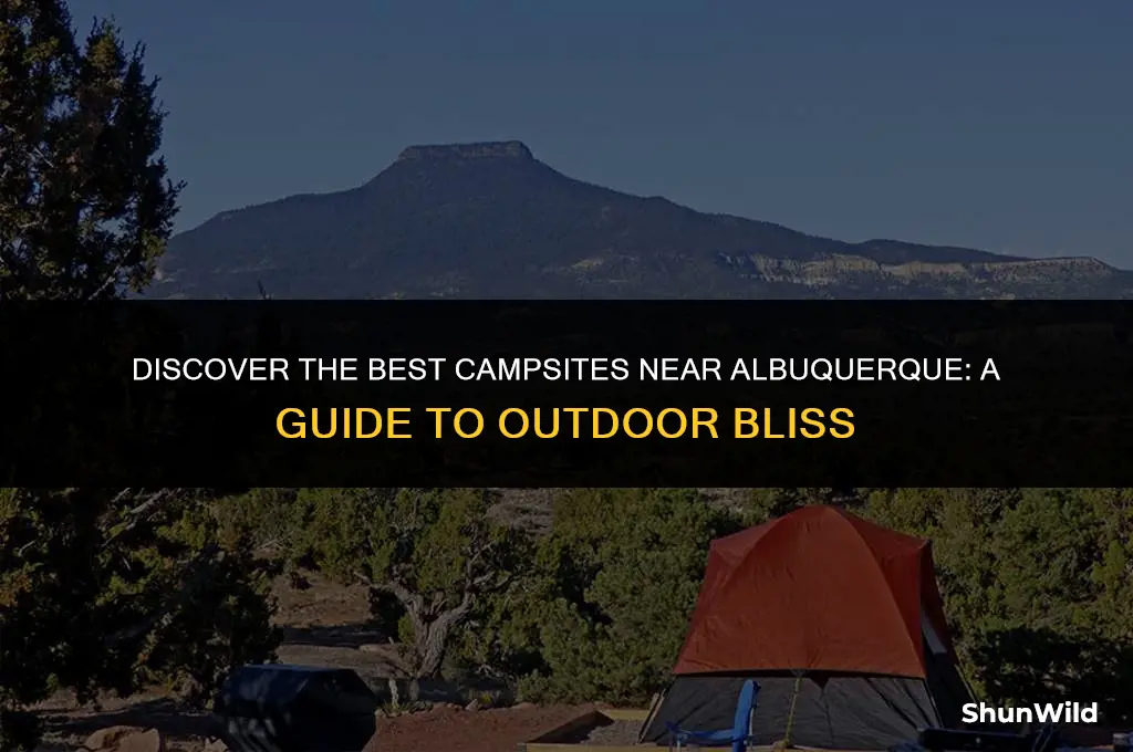 where to camp around albuquerque