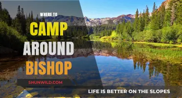 Discover the Best Camping Spots Near Bishop: A Guide to Outdoor Bliss