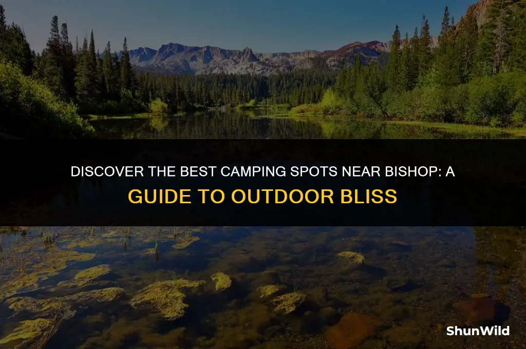 where to camp around bishop