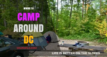 Discover the Best Campsites Near DC: A Guide to Outdoor Adventures