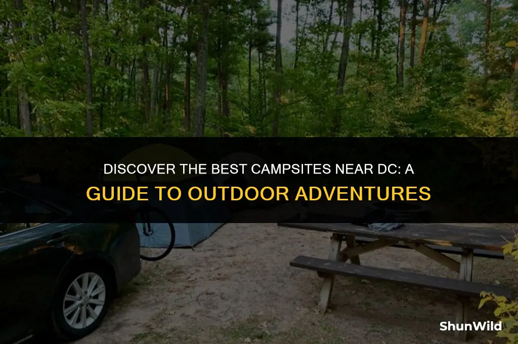 where to camp around dc