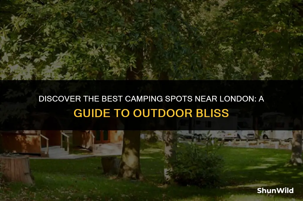 where to camp around london