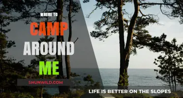 Discover the Best Campsites Near You: A Local's Guide