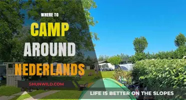 Discover the Best Campsites in the Netherlands: A Comprehensive Guide