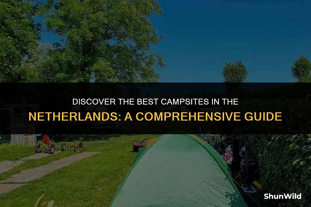 where to camp around nederlands