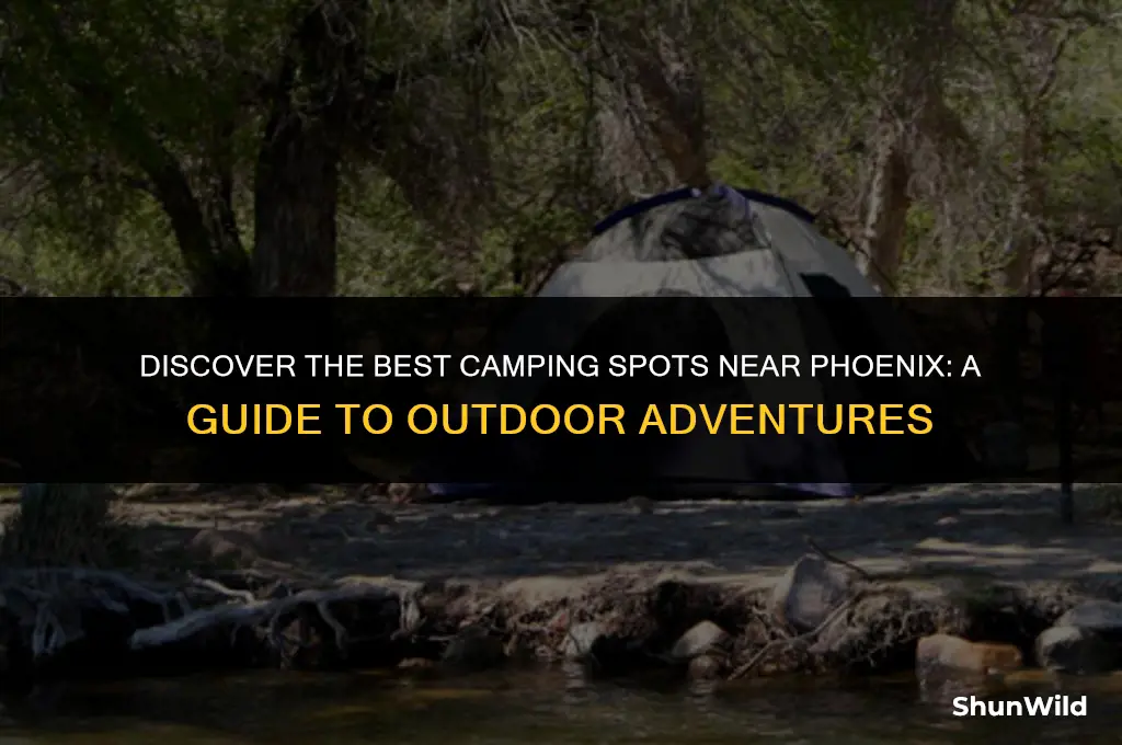 where to camp around phoenix