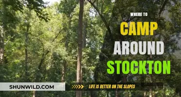 Discover the Best Campsites Near Stockton: A Guide to Outdoor Bliss