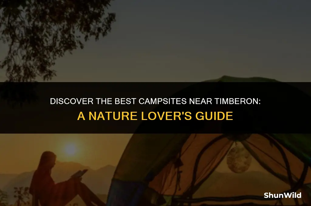 where to camp around timberon