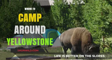 Exploring Yellowstone: Top Campsites for an Unforgettable Adventure