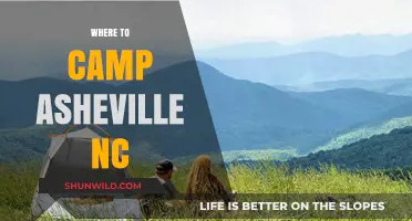 Discover Asheville's Best Campsites: A Guide to Outdoor Bliss