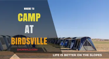 Discover the Best Camping Spots in Birdsville: A Guide for Adventurers