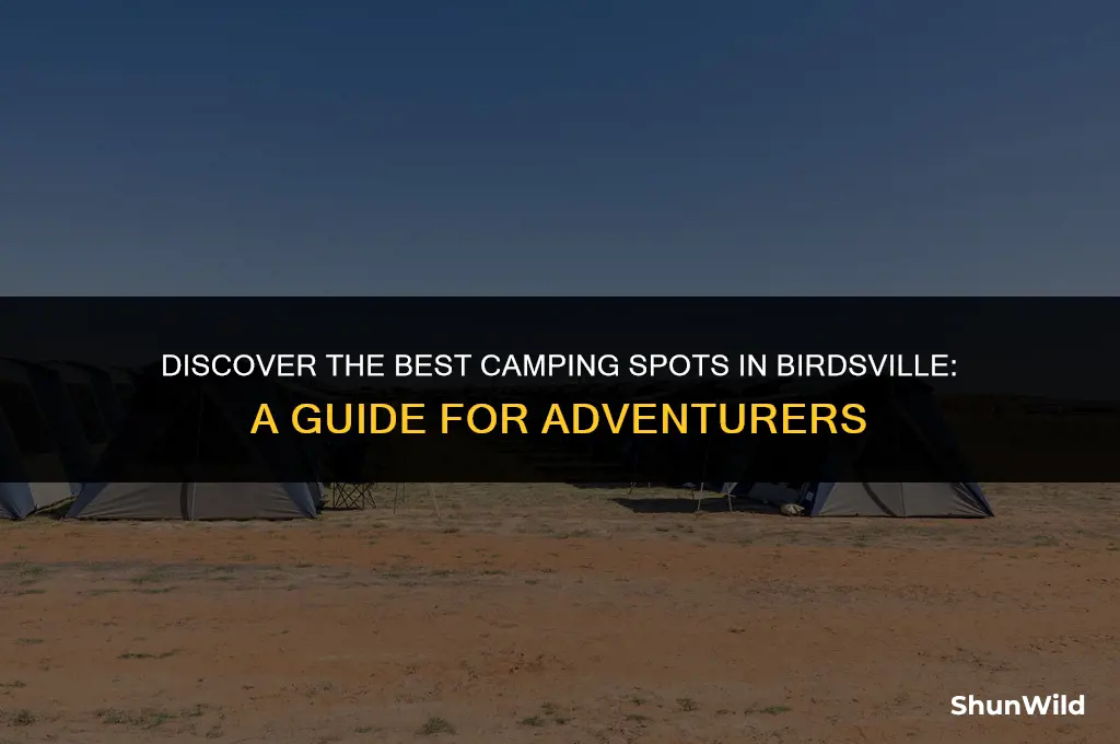 where to camp at birdsville