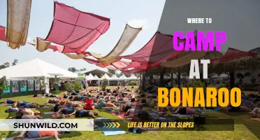 Ultimate Guide to Camping at Bonnaroo: Tips and Top Spots