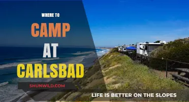 Discover the Best Campsites in Carlsbad: A Guide to Outdoor Bliss