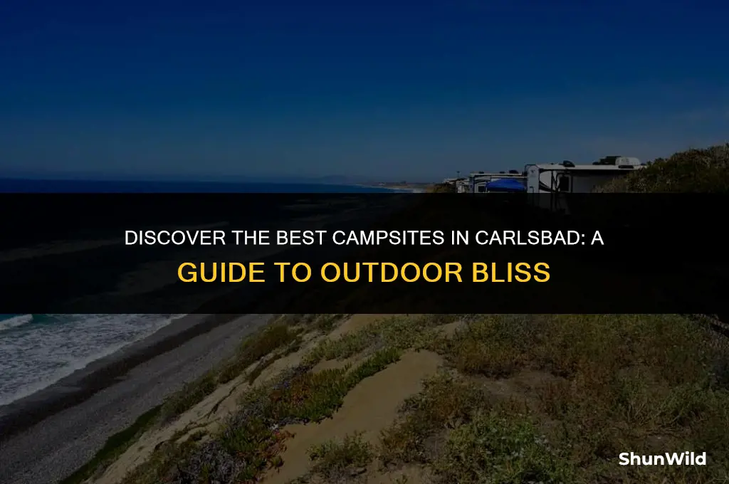 where to camp at carlsbad